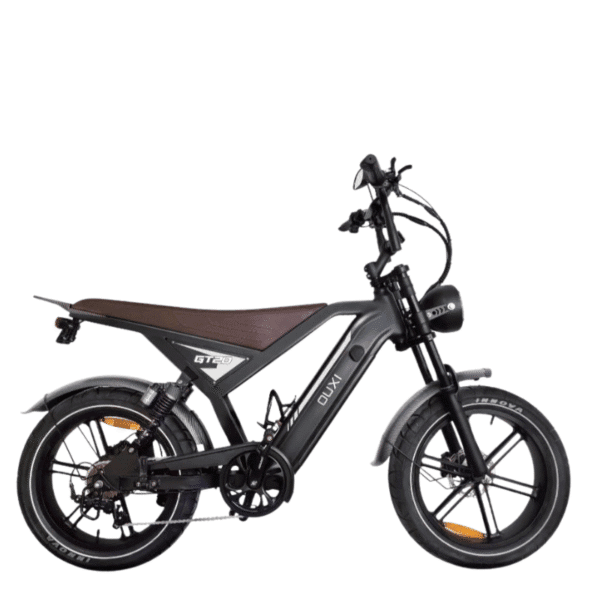 DUXI GT20 – Vélo Électrique 20