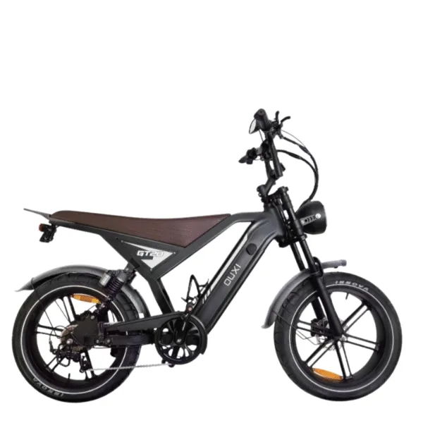 DUXI GT20 – Vélo Électrique 20