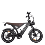 DUXI GT20 – Vélo Électrique 20