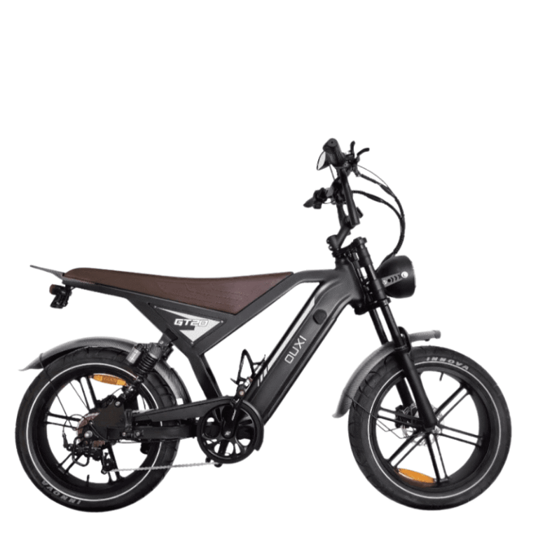 DUXI GT20 – Vélo Électrique 20