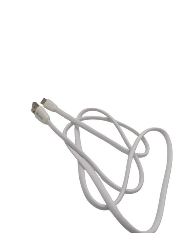 Câble de Charge Rapide Bivox – 2