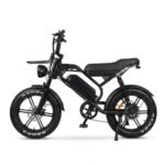 Vélo Électrique S20 Pro